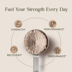 Whey Blend • Iso+ Conc •Chocolate• 1kg