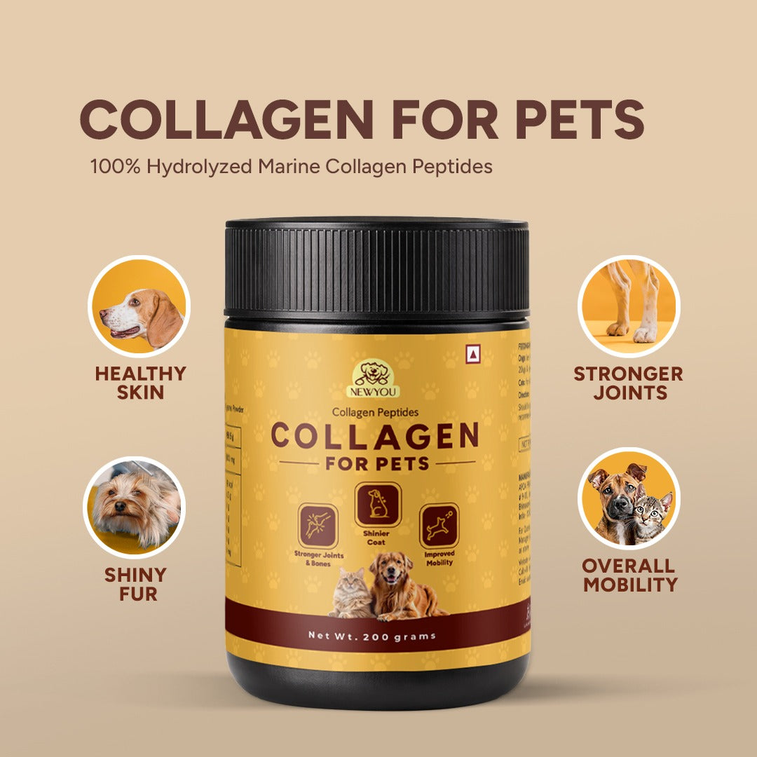 NewYou Marine Collagen for Dogs & Cats (200 Gms)